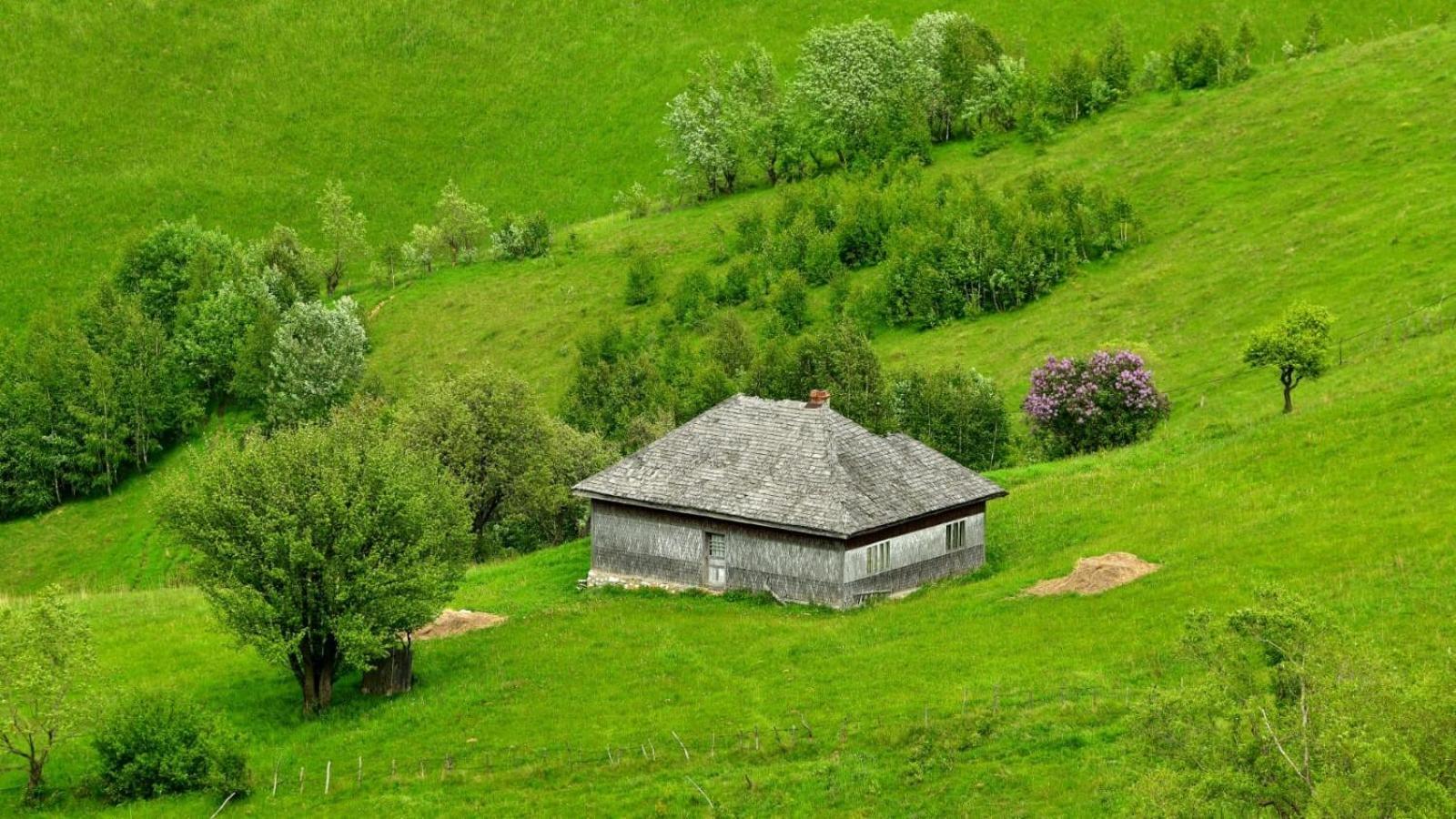 la Villa The Barn Şirnea Esterno foto