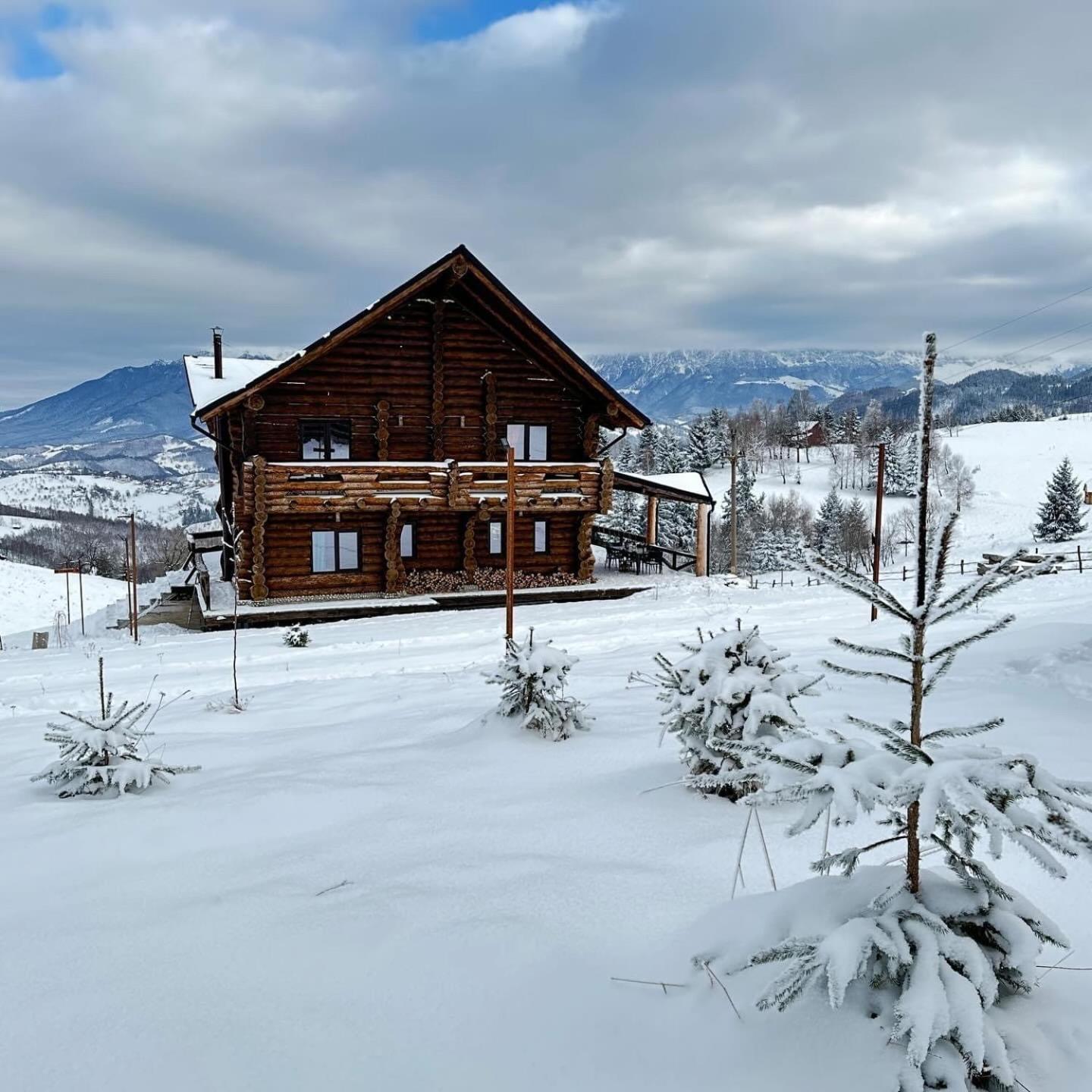 la Villa The Barn Şirnea Esterno foto
