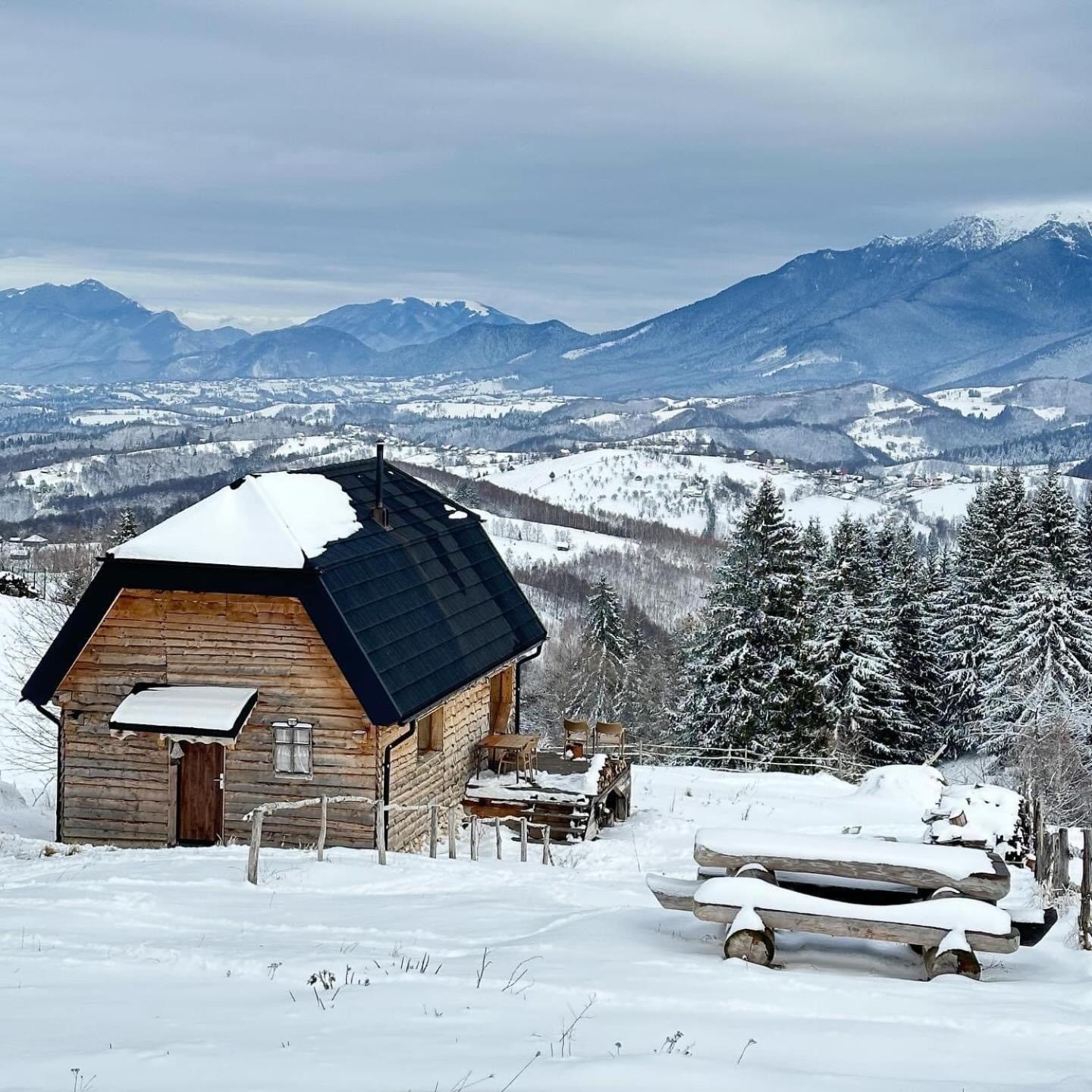 la Villa The Barn Şirnea Esterno foto